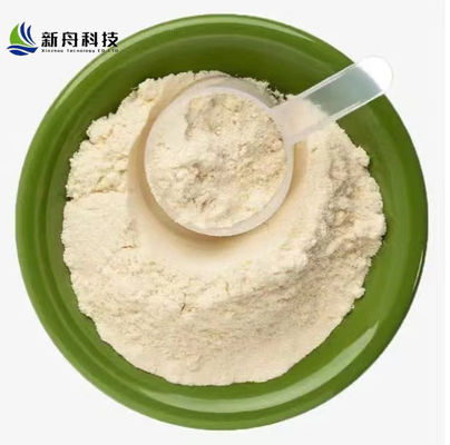 11138-66-2 Food Additives Raw Material 80 Mesh Food Grade Xanthan Gum Protein Powder